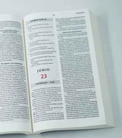 Biblia para leer en un año – NVI - Azul - Imagen 5