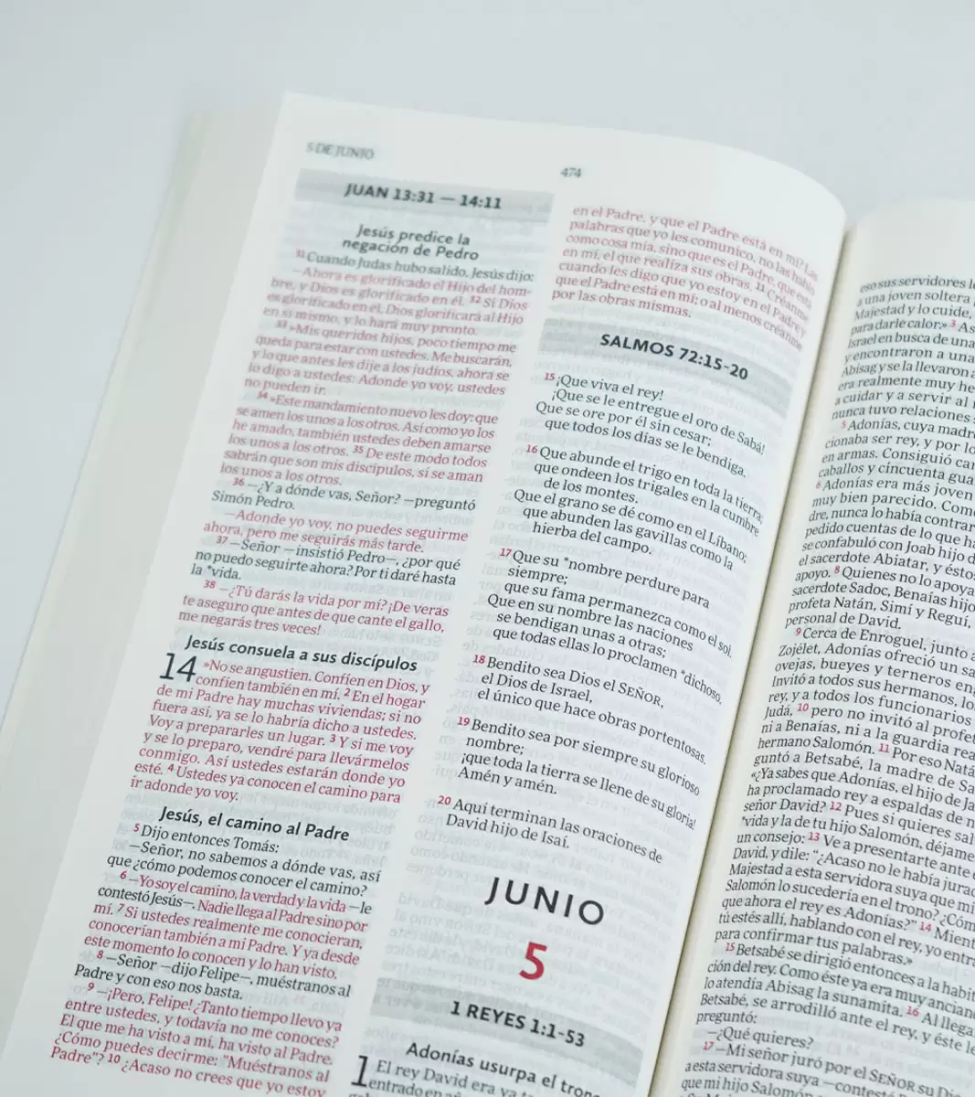Biblia para leer en un año – NVI - Crema - Imagen 5